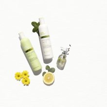 milk_shake® energizing KIT + ajándék fejbőrmasszírozó 