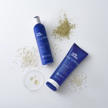 milk_shake® cold brunette sampon 2 db + AJÁNDÉK cold brunette kondicionáló 2 db 