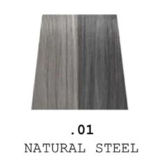   NO. 506 INVISIBLE COLOR . for hair & beard . 60 ml - NATURAL STEEL -