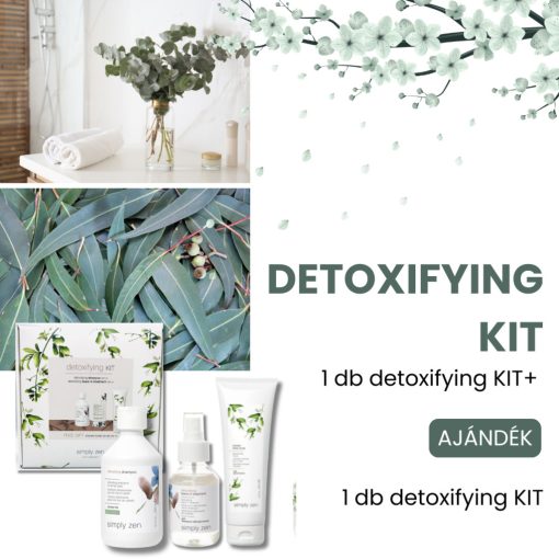 simply zen detoxifying KIT - méregtelenítő csomag  1+1 AJÁNDÉK